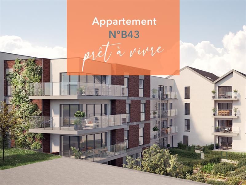 appartement-pret-a-vivre-a-namur-emaillerie-b4313-49-2024-12:49:15.jpg